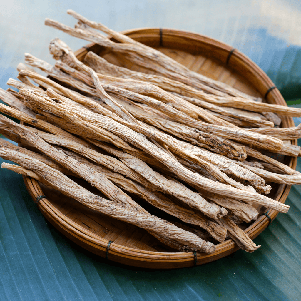 Dang-shen – 50 Seeds