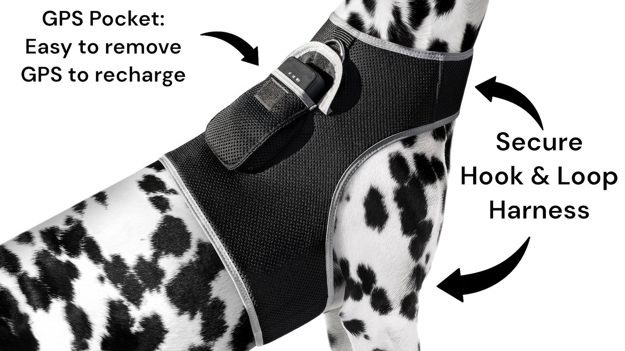 Collar Rechargeable Portable GPS Tracking Devices for Pets GSM Locator Size:XS