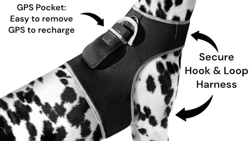 Collar Rechargeable Portable GPS Tracking Devices for Pets GSM Locator Size:XS