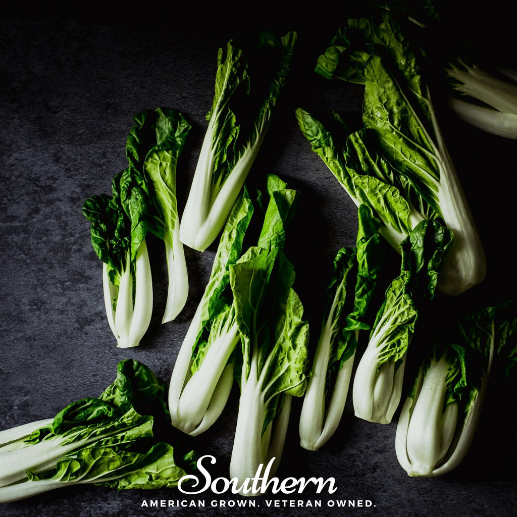 Canton Pak Choi – 100 Seeds